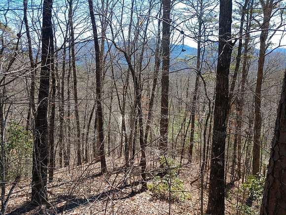 1.525 Acres of Residential Land for Sale in Bryson City, North Carolina