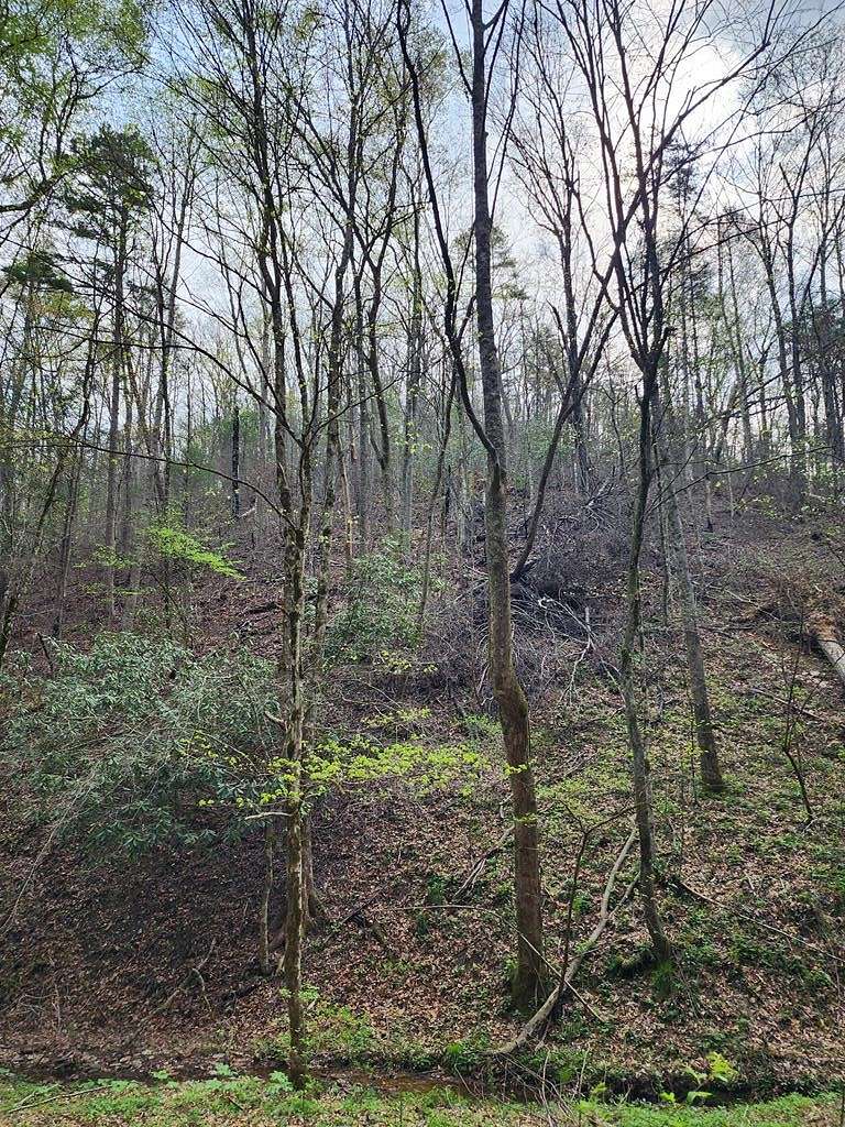 13.8 Acres of Land for Sale in Sevierville, Tennessee