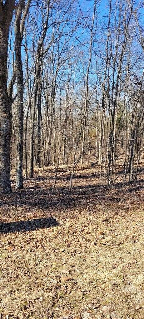 0.68 Acres of Residential Land for Sale in Dover, Tennessee