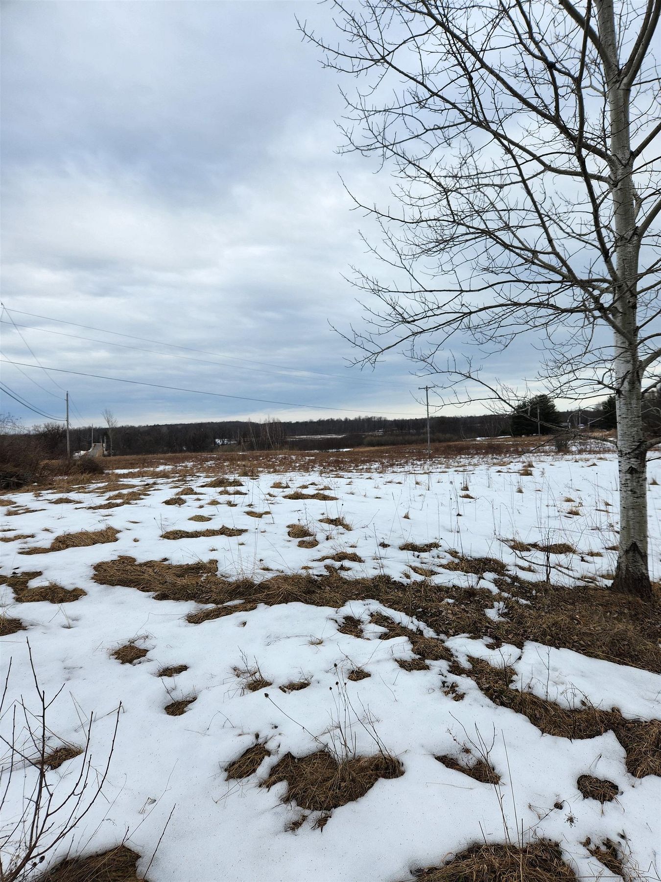 12.1 Acres of Land for Sale in Potsdam, New York