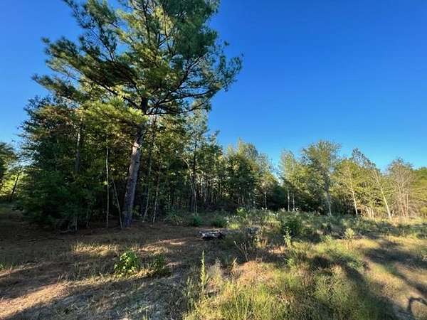 52.8 Acres of Land for Sale in Gilmer, Texas