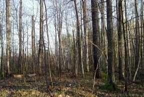2.2 Acres of Residential Land for Sale in Hayward, Wisconsin