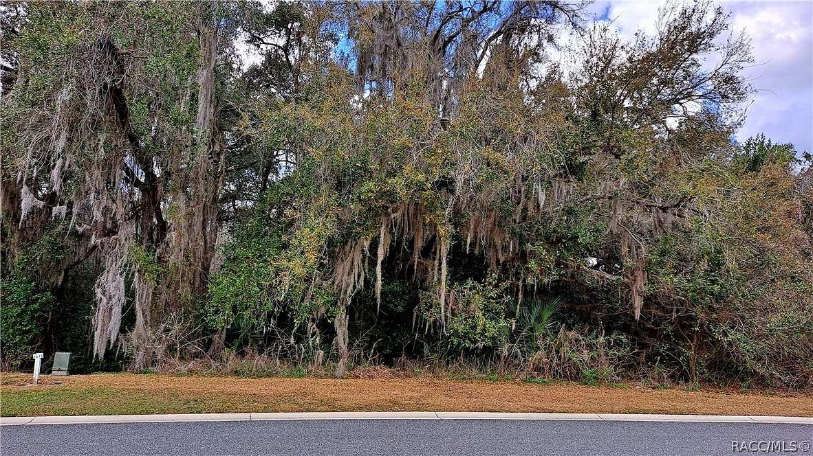 0.5 Acres of Residential Land for Sale in Hernando, Florida