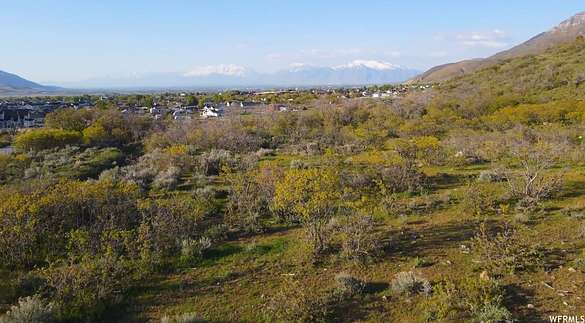 21.8 Acres of Agricultural Land for Sale in Santaquin, Utah
