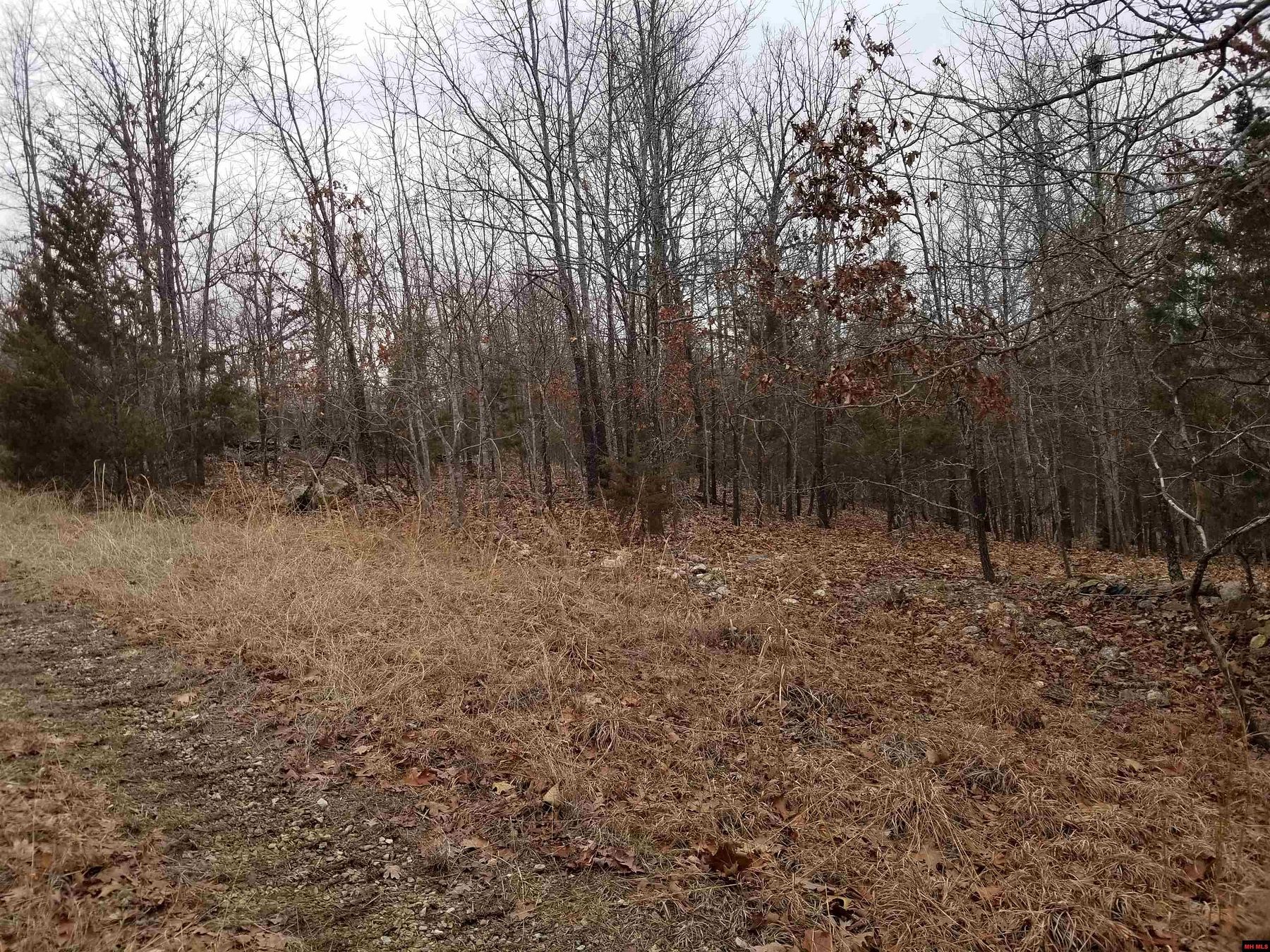 2.7 Acres of Residential Land for Sale in Mountain Home, Arkansas