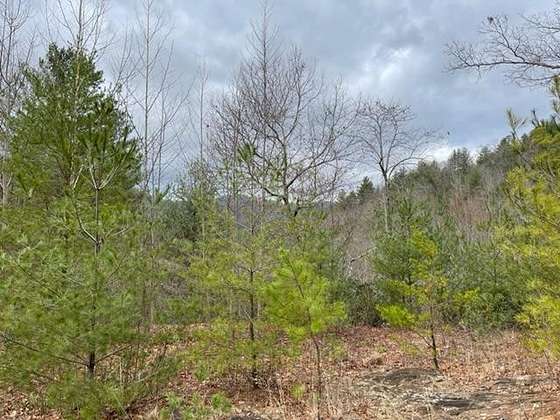 5.1 Acres of Residential Land for Sale in Franklin, North Carolina