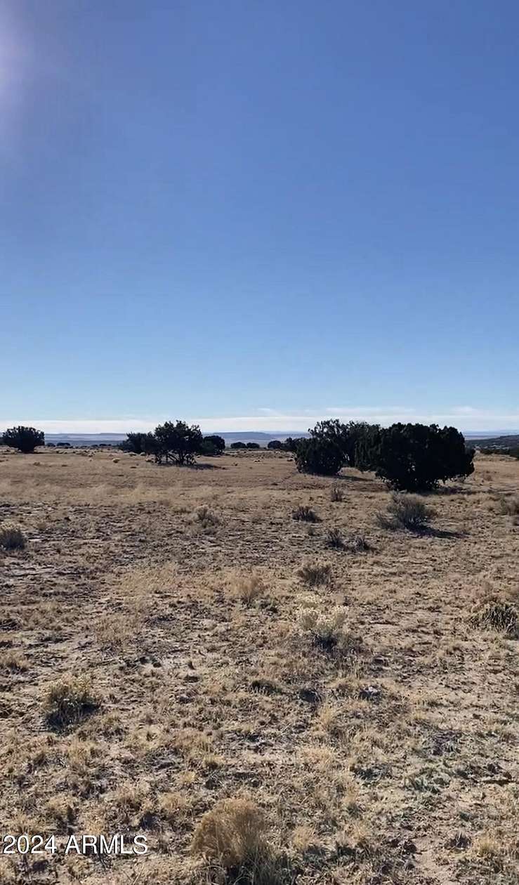 36.5 Acres of Recreational Land & Farm for Sale in St. Johns, Arizona