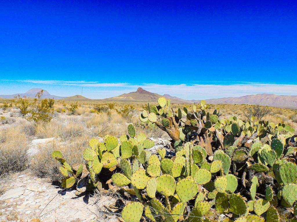 21 Acres of Recreational Land for Sale in Terlingua, Texas