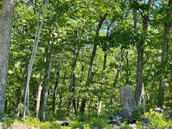 3.7 Acres of Residential Land for Sale in Westbrookville, New York