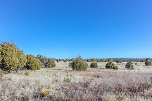 11.3 Acres of Land for Sale in Tijeras, New Mexico