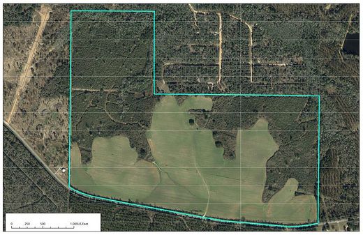 214 Acres of Land for Sale in Lumberton, Mississippi