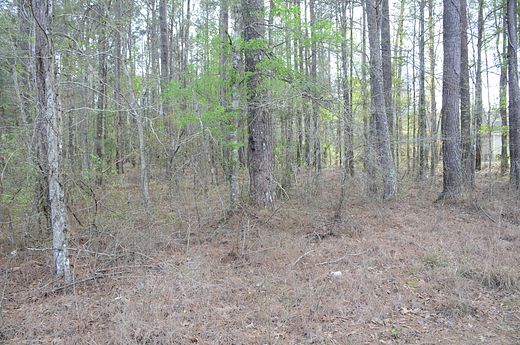 4 Acres of Recreational Land for Sale in Independence, Louisiana