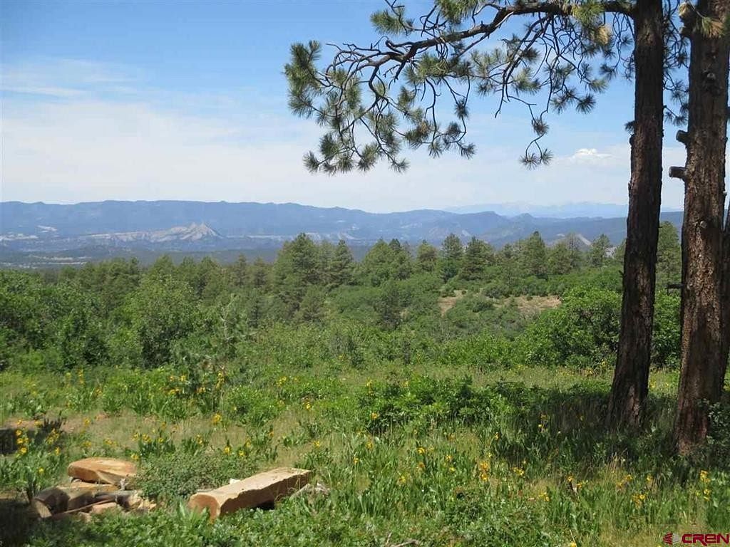 64 Acres of Land for Sale in Pagosa Springs, Colorado