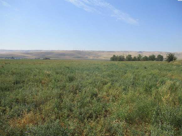 13.52 Acres of Land for Sale in Touchet, Washington