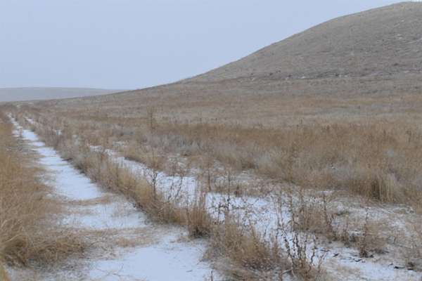 22.7 Acres of Mixed-Use Land for Sale in Connell, Washington