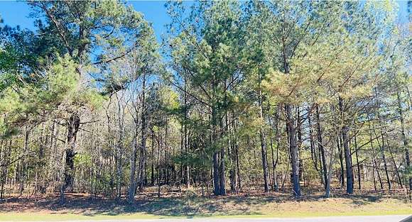 3.49 Acres of Residential Land for Sale in Orangeburg, South Carolina