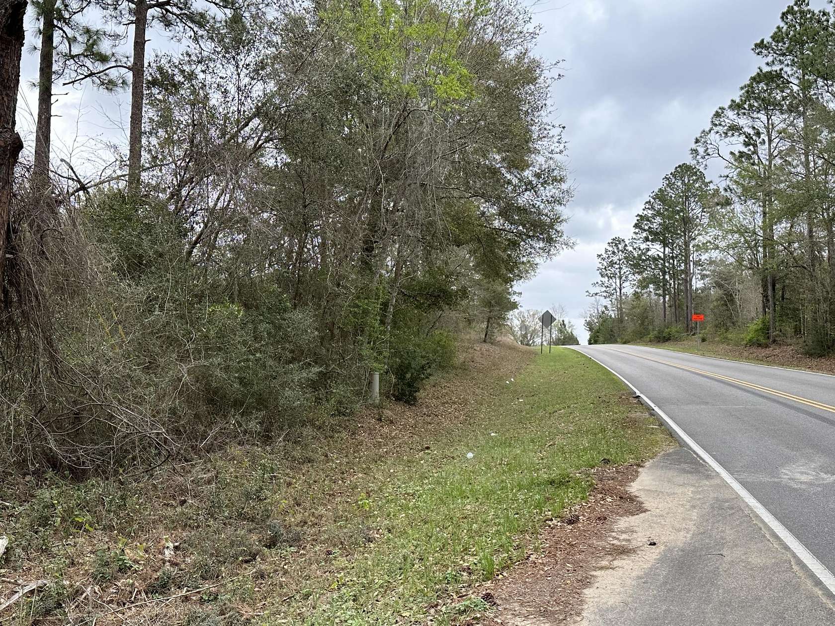 16.4 Acres of Recreational Land for Sale in Bonifay, Florida