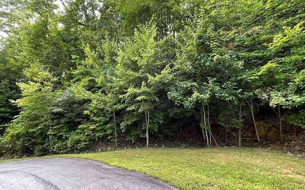 1.6 Acres of Land for Sale in Young Harris, Georgia