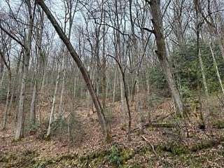31 Acres of Recreational Land for Sale in Robbinsville, North Carolina