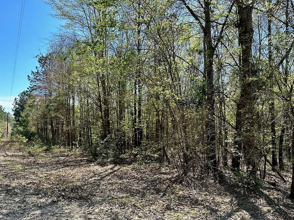 22.1 Acres of Recreational Land for Sale in Gilmer, Texas