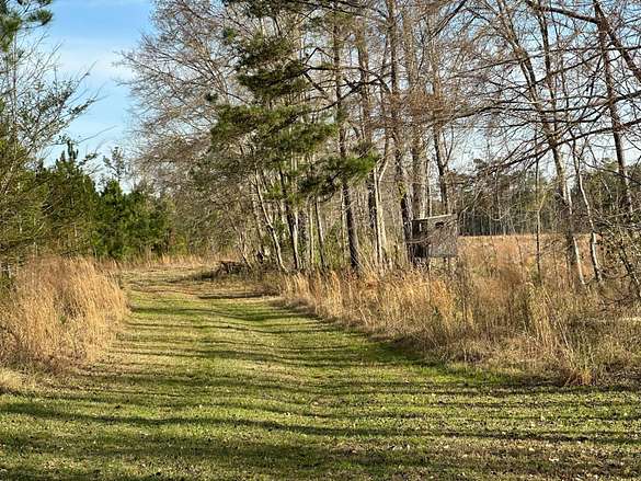 126 Acres of Recreational Land & Farm for Sale in Andrews, South Carolina