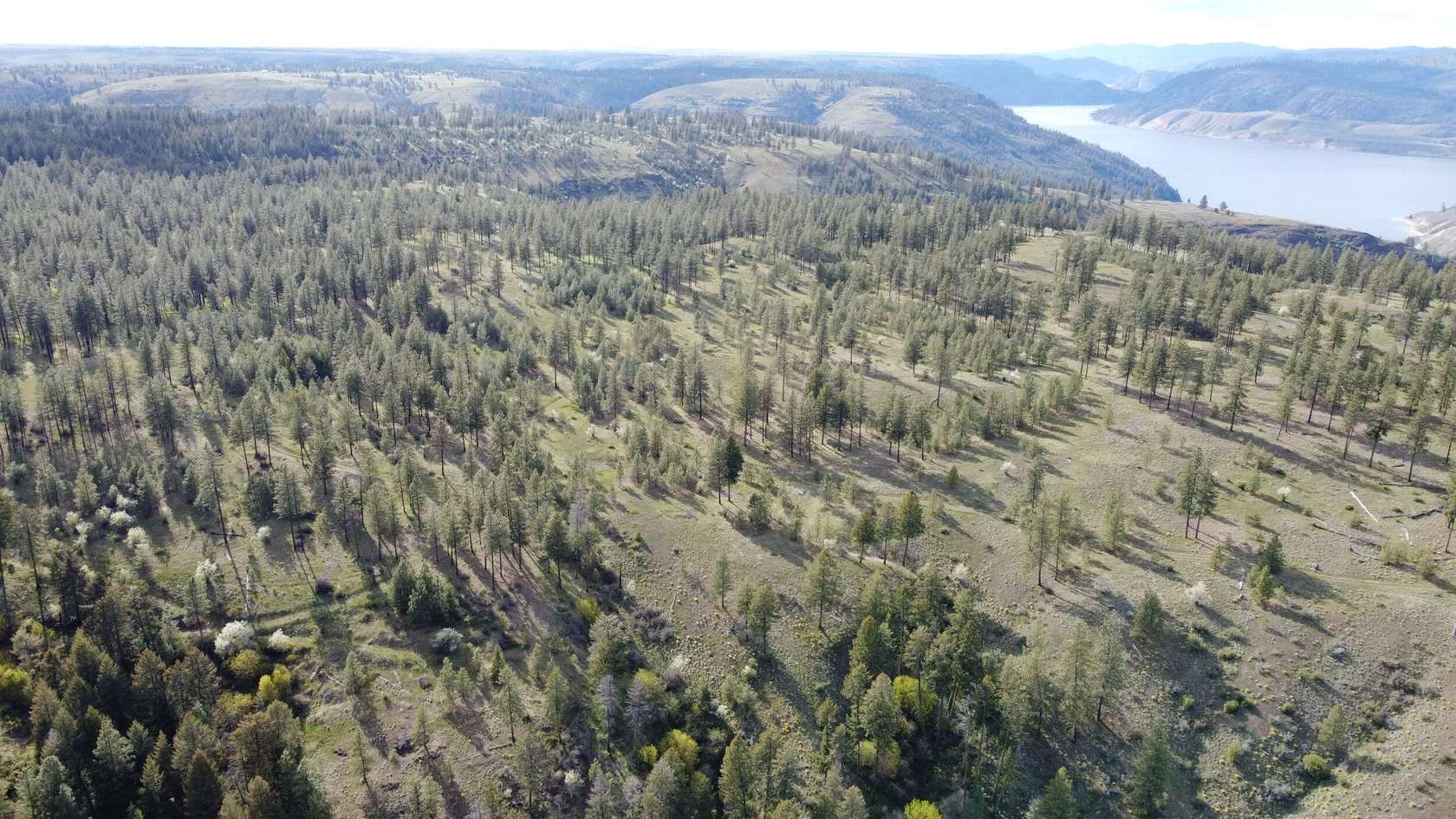 527 Acres of Land for Sale in Davenport, Washington