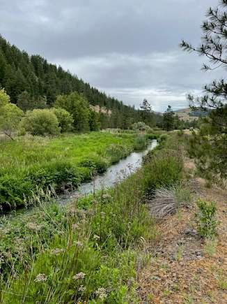 690 Acres of Land for Sale in Davenport, Washington