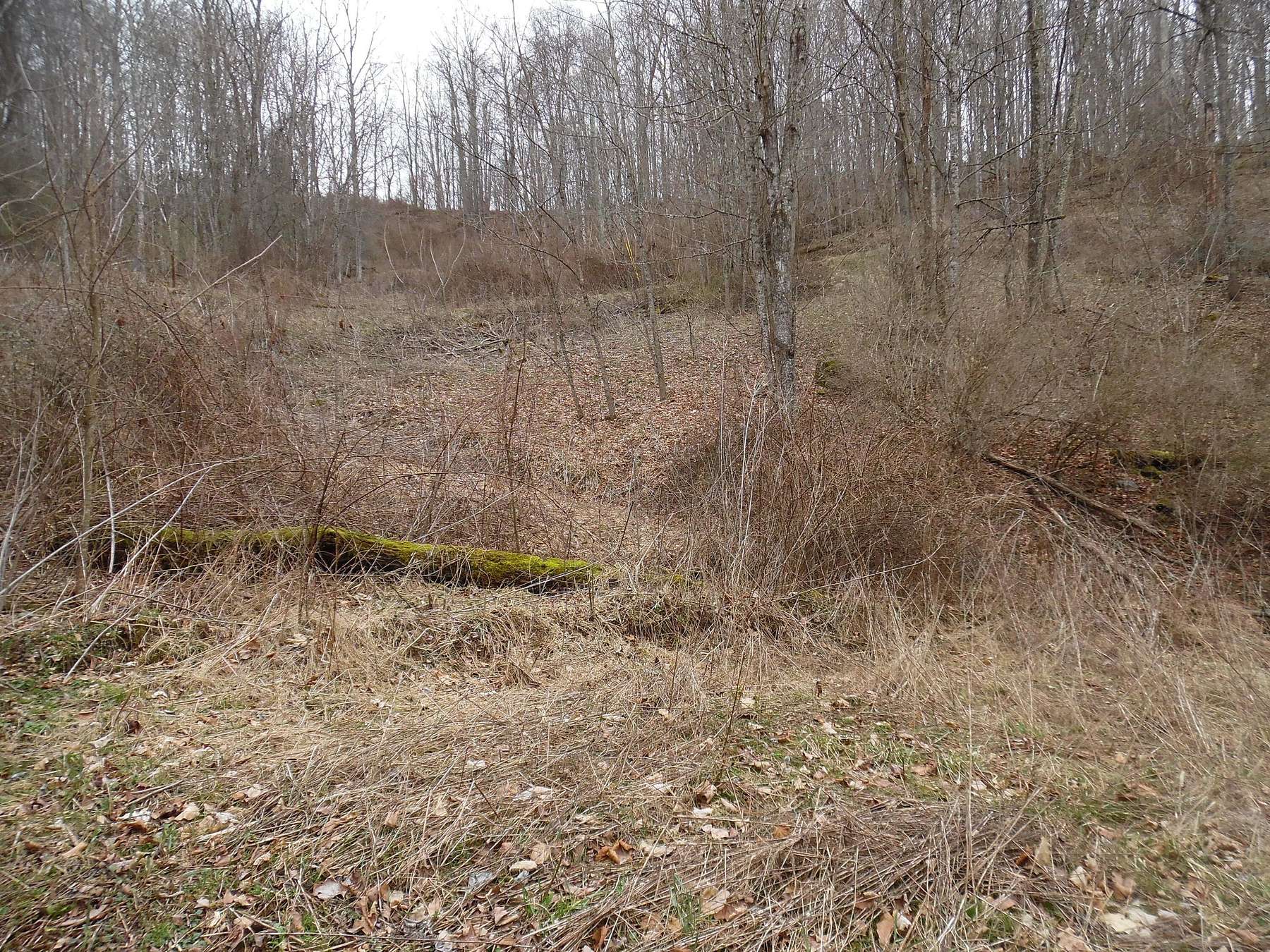 2.5 Acres of Land for Sale in Hillsboro, West Virginia