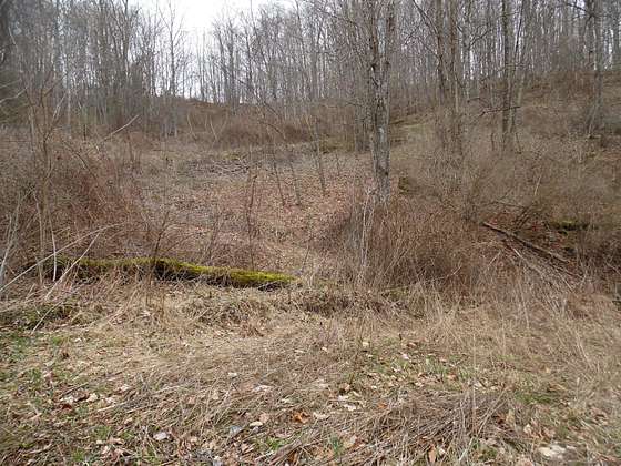 2.5 Acres of Land for Sale in Hillsboro, West Virginia