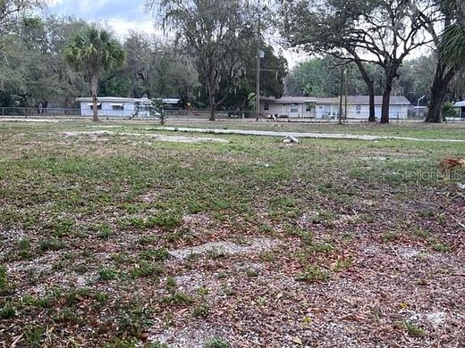0.39 Acres of Residential Land for Sale in Lake Panasoffkee, Florida