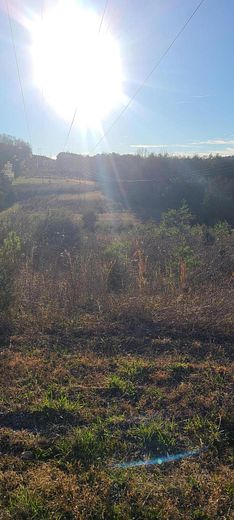 11 Acres of Land for Sale in Bronston, Kentucky