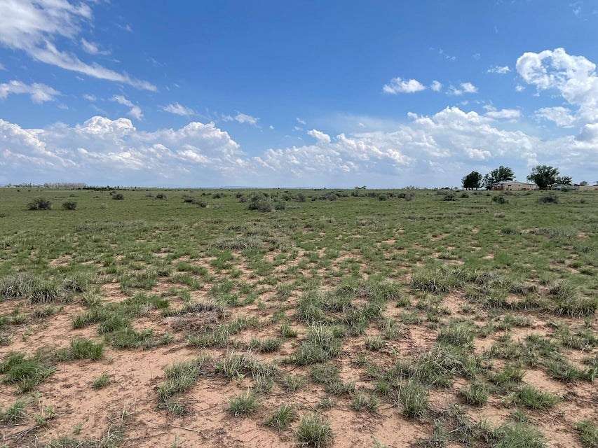 2.5 Acres of Recreational Land for Sale in McIntosh, New Mexico