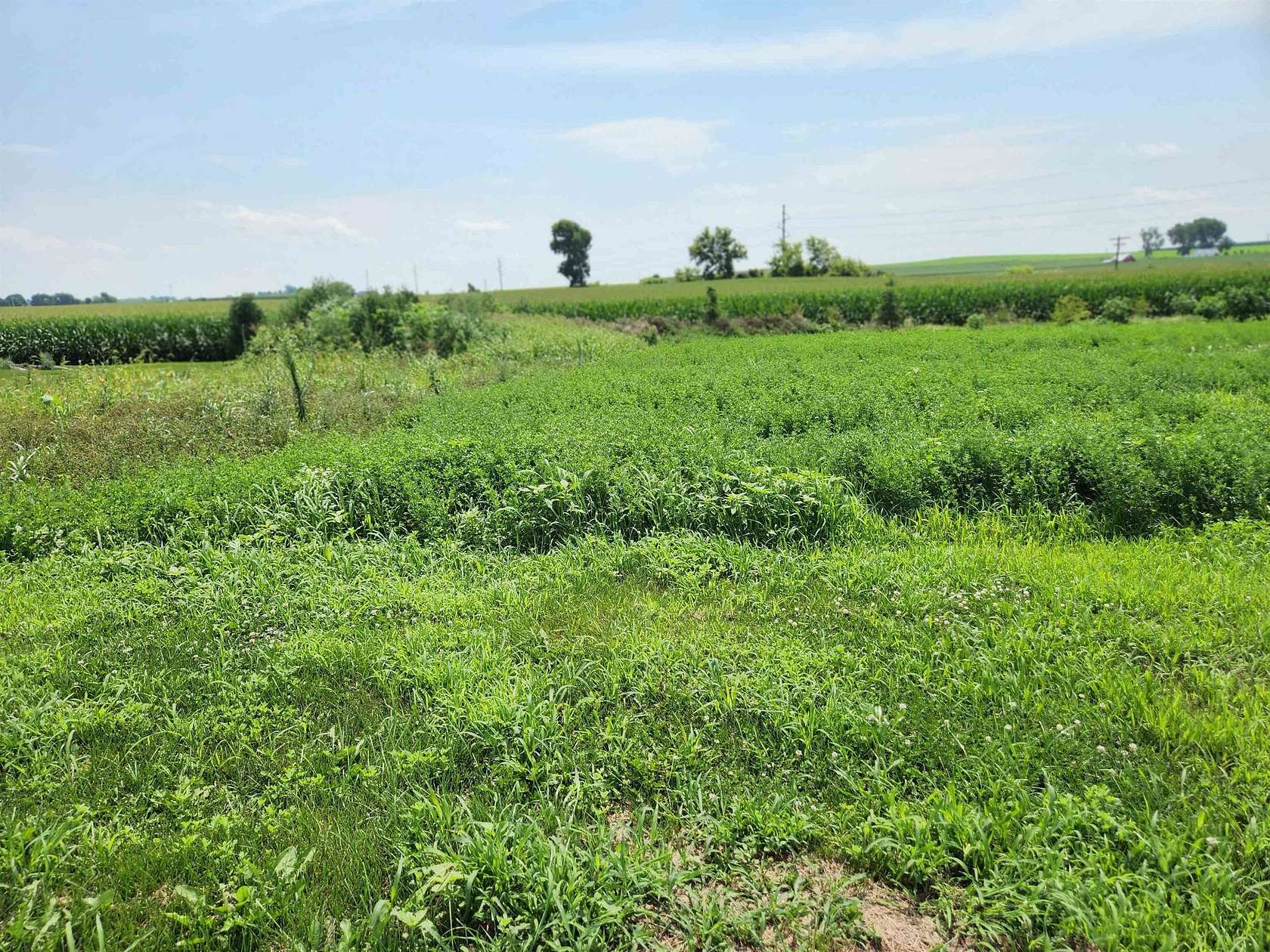 0.23 Acres of Residential Land for Sale in Dane, Wisconsin