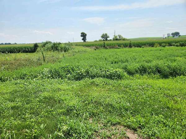 0.23 Acres of Residential Land for Sale in Dane, Wisconsin