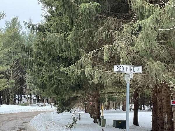 2 Acres of Residential Land for Sale in Croswell, Michigan