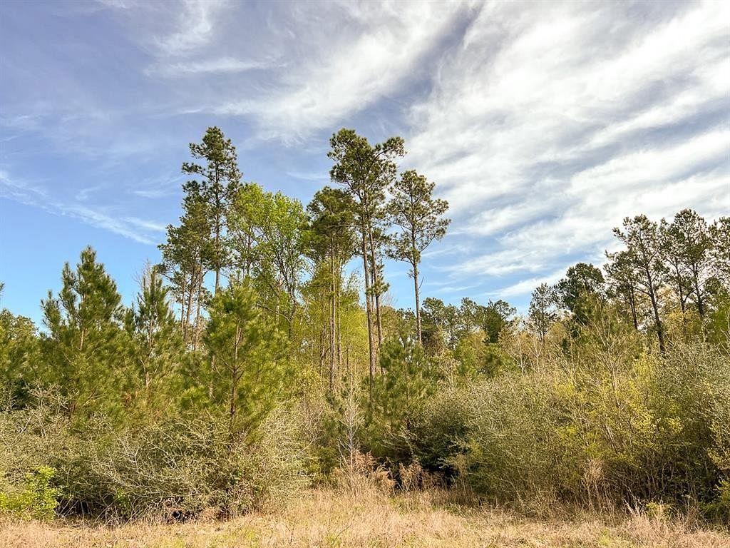 13.3 Acres of Land for Sale in Trinity, Texas