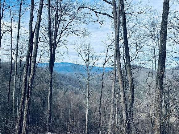 33 Acres of Land for Sale in Bryson City, North Carolina