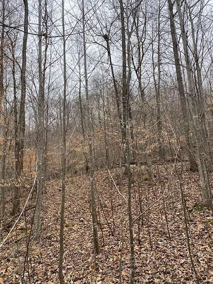 5.8 Acres of Residential Land for Sale in Decatur, Tennessee