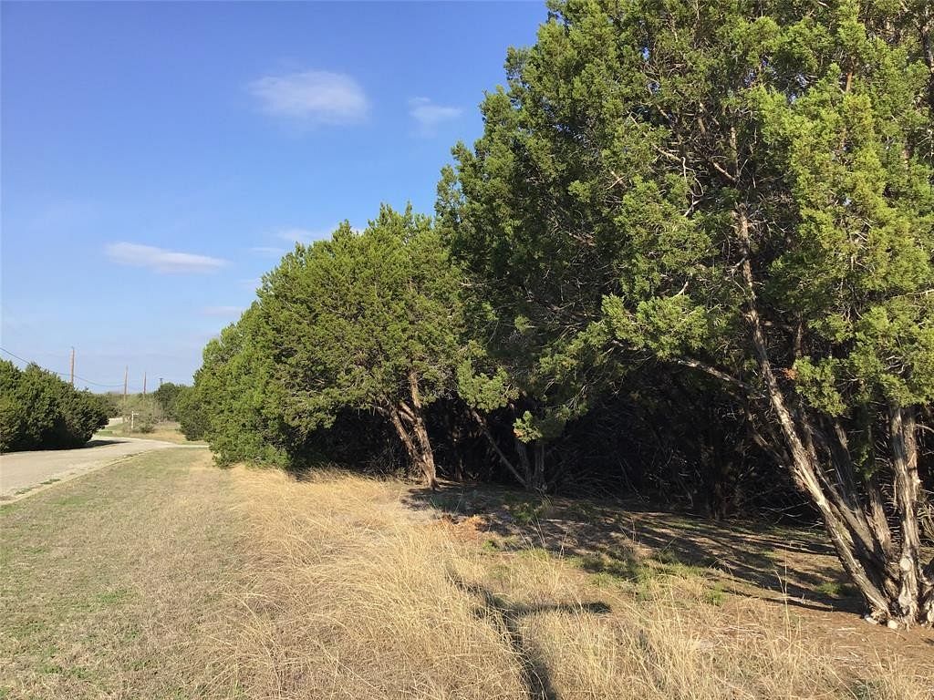 0.17 Acres of Residential Land for Sale in Whitney, Texas