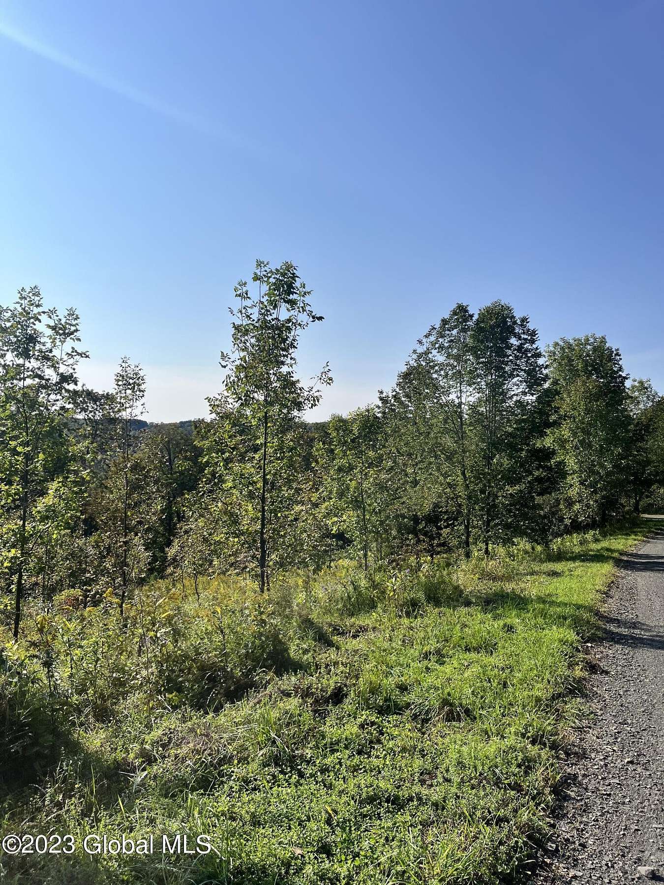 5.1 Acres of Residential Land for Sale in Summit, New York