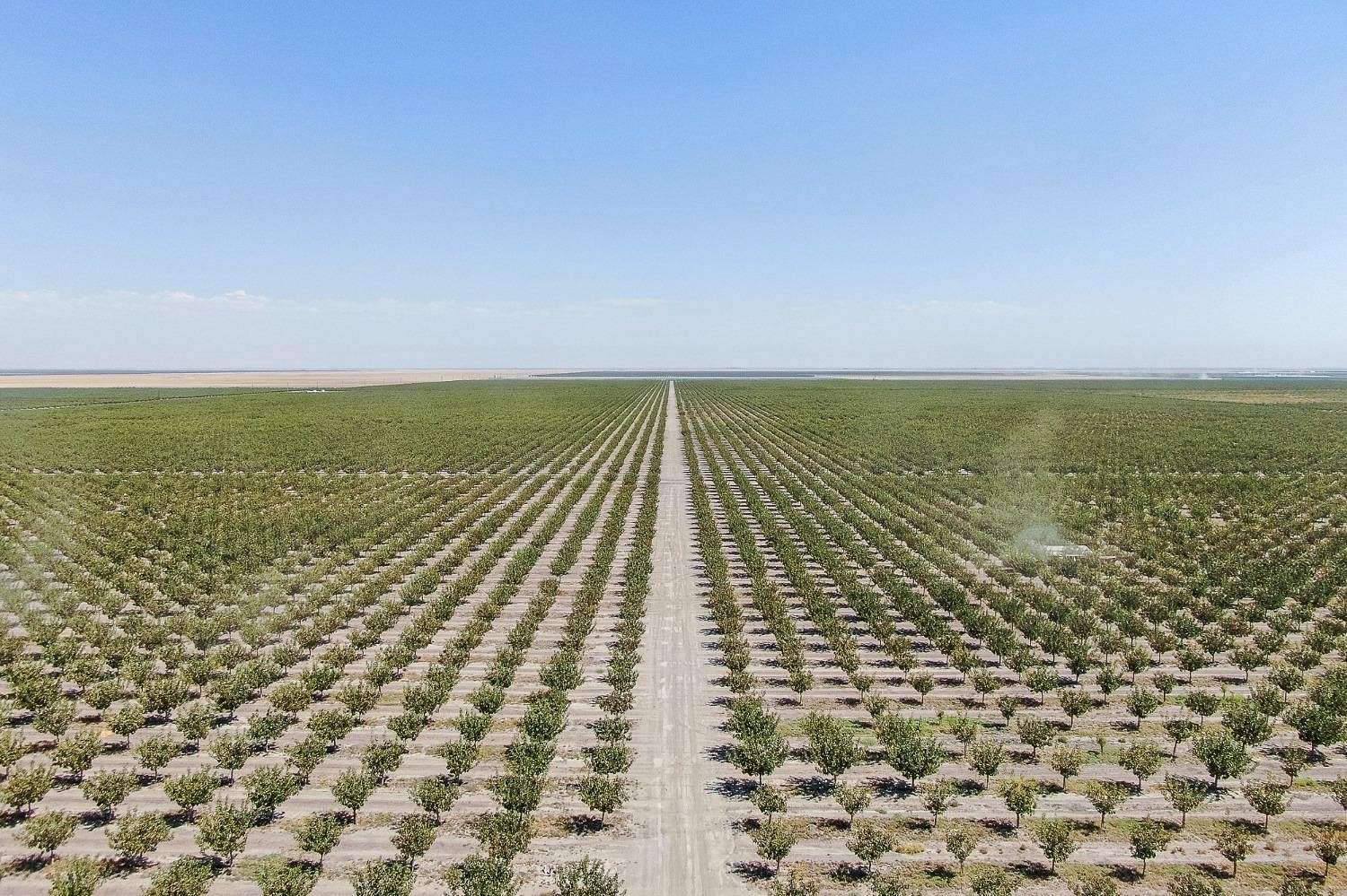 3,120 Acres of Agricultural Land for Sale in Delano, California