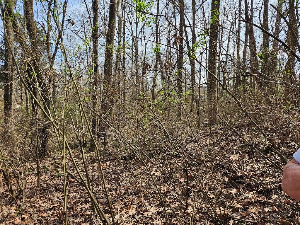 0.37 Acres of Residential Land for Sale in Camden, Tennessee