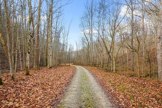 230 Acres of Land with Home for Sale in South Bloomingville, Ohio