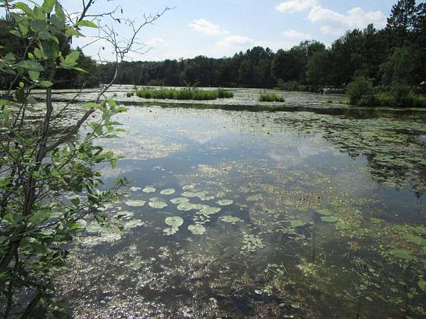 3 Acres of Land for Sale in Phillips, Wisconsin