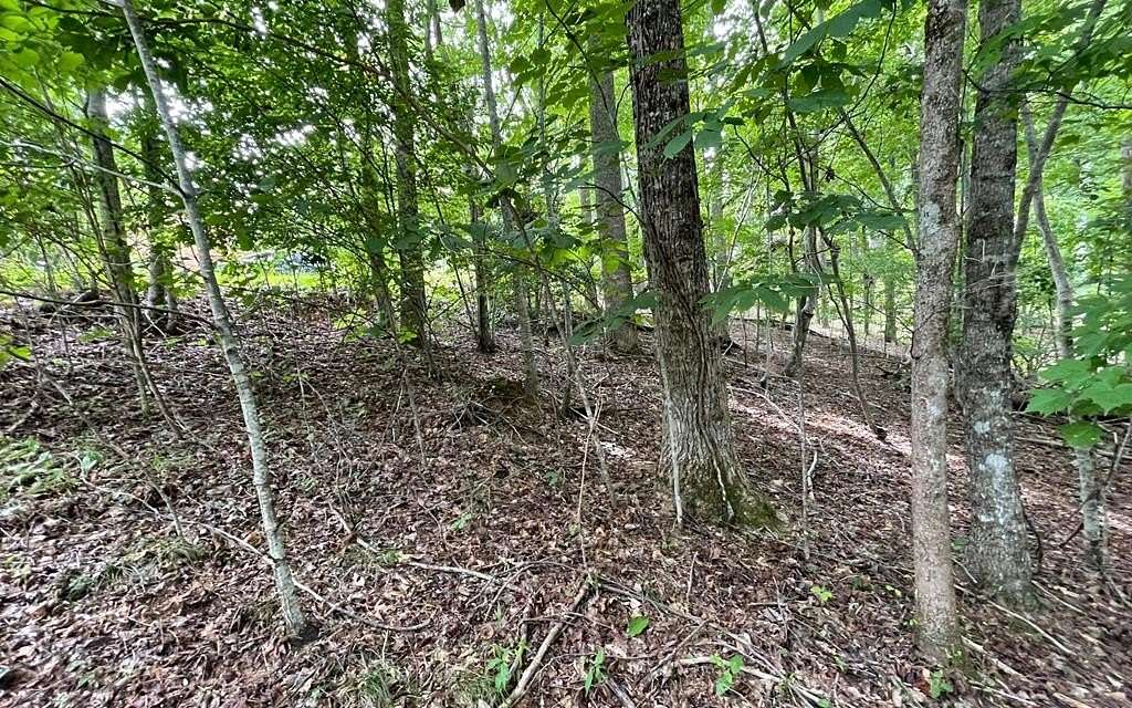 Residential Land for Sale in Young Harris, Georgia