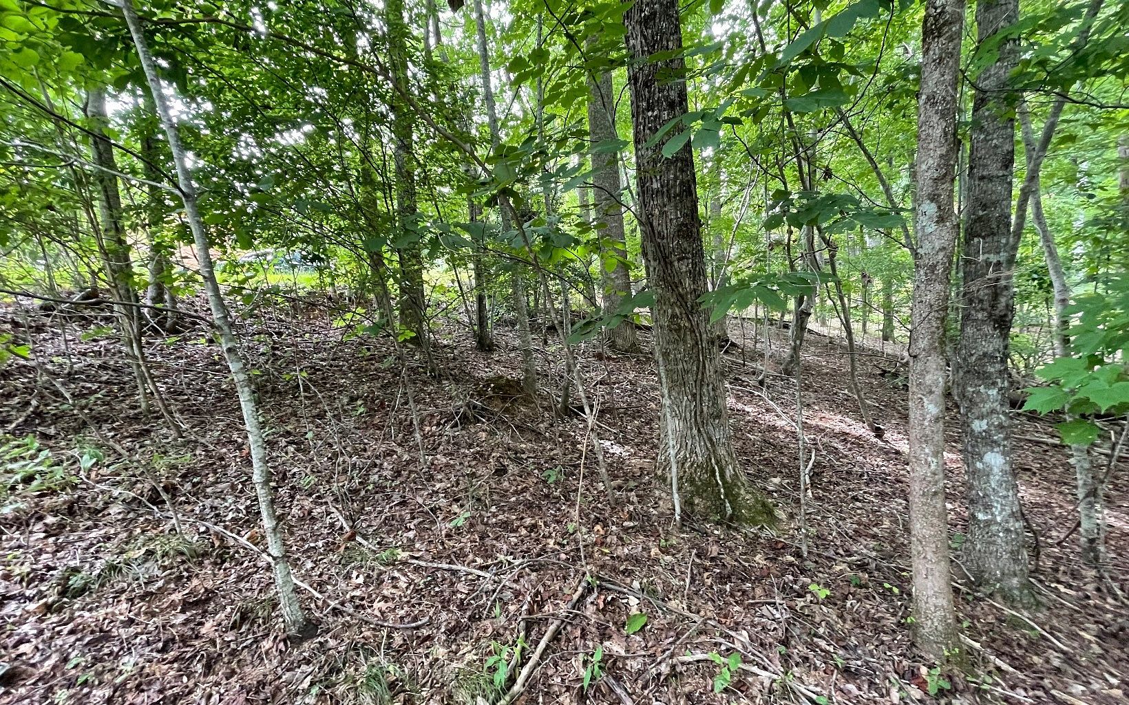 0.77 Acres of Residential Land for Sale in Young Harris, Georgia