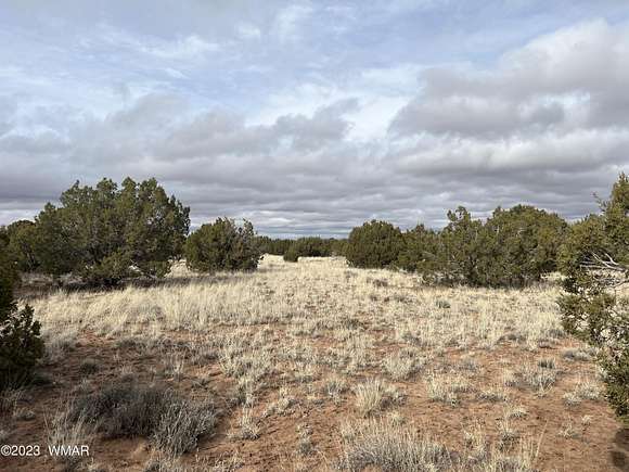 2.36 Acres of Residential Land for Sale in Snowflake, Arizona