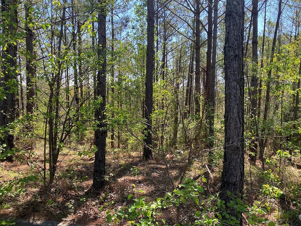 1.3 Acres of Residential Land for Sale in Columbus, Georgia