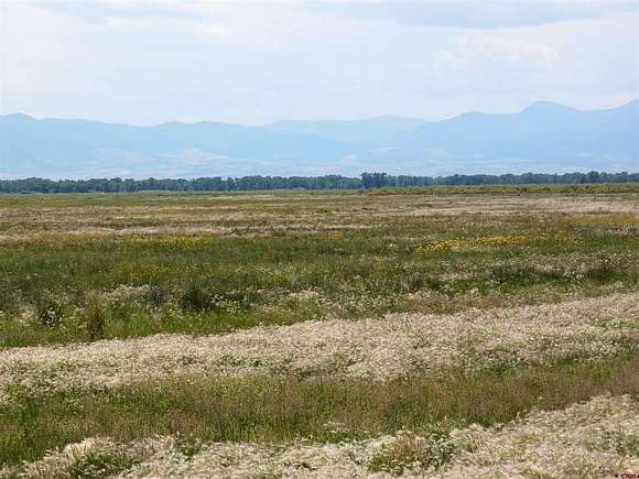 35.1 Acres of Agricultural Land for Sale in Monte Vista, Colorado