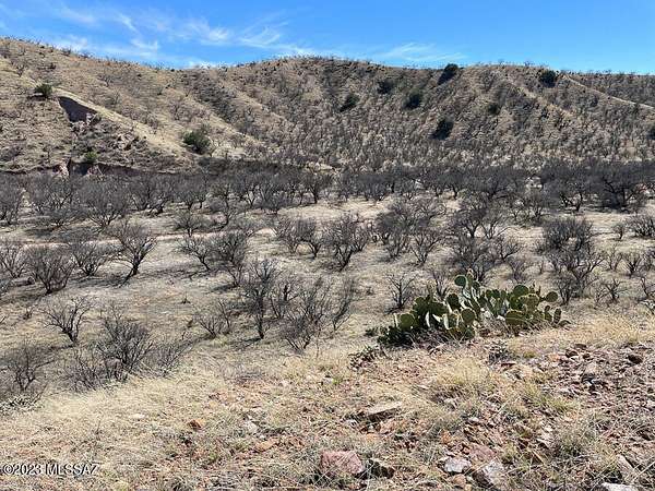 38.9 Acres of Land for Sale in Rio Rico, Arizona
